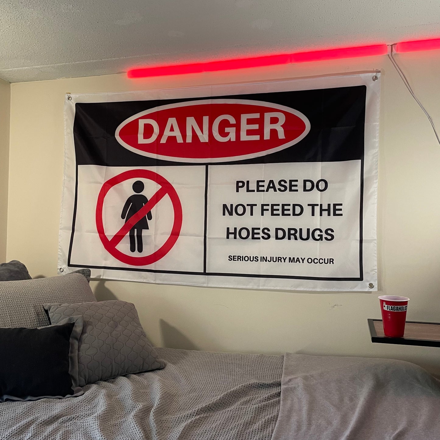 flag of a warning sign reading "please do not feed the hoes drugs" hung up in a college dorm room
